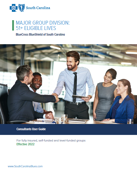 Consultants User Guide Thumbnail