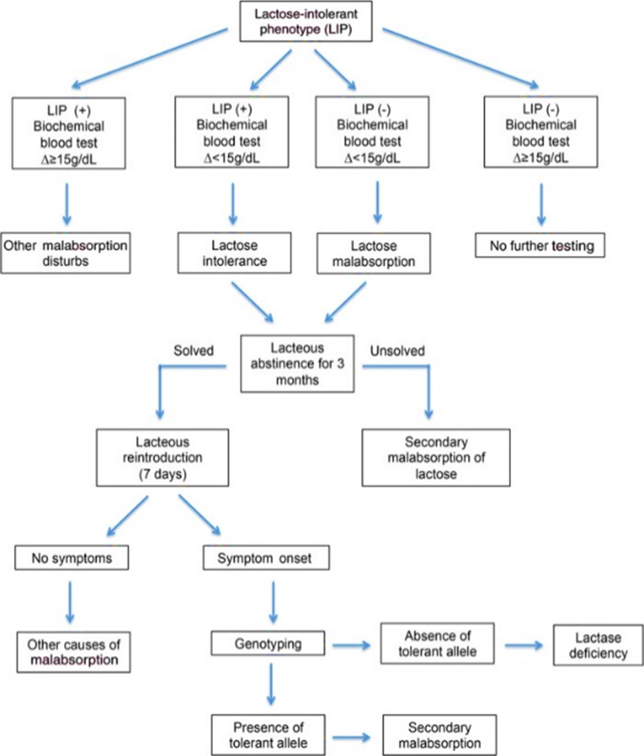 Genetic Testing for Lactase Insufficiency