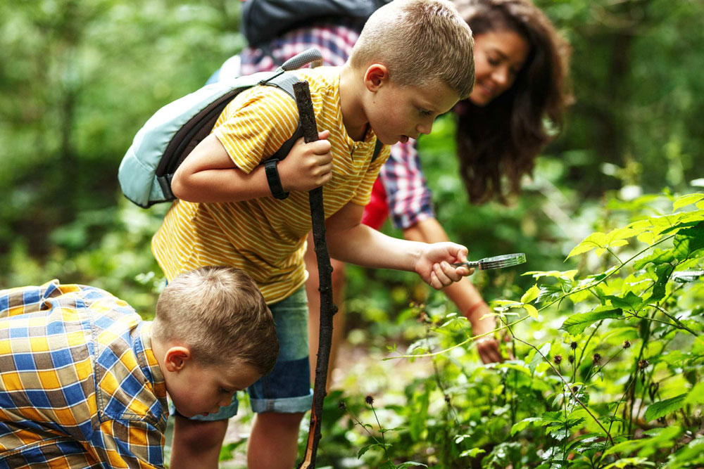 two boys looking at plants with mother on trail